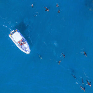 Ocean Wonder - Guided Boat Experience